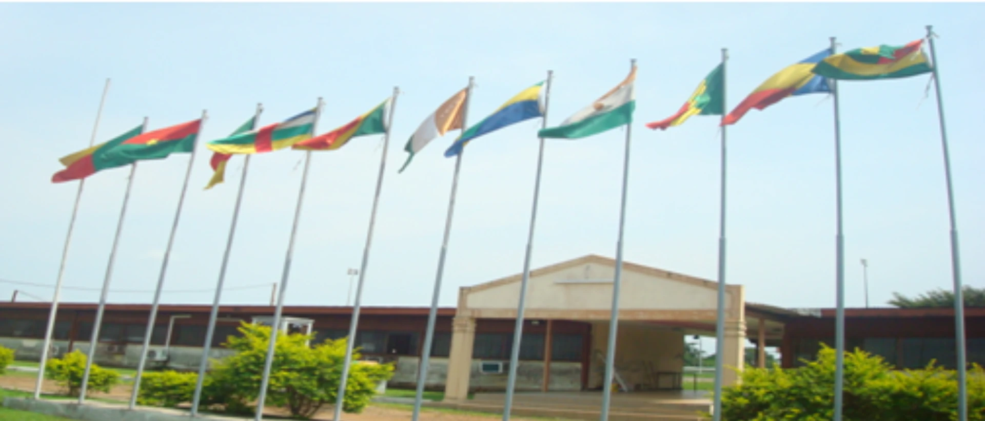 Photo de couverture de Institut Africain d’Informatique