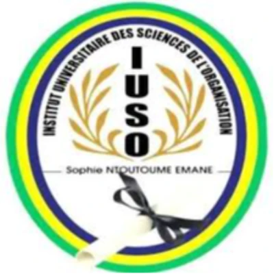 Logo de Institut Universitaire des Sciences de l'Organisation