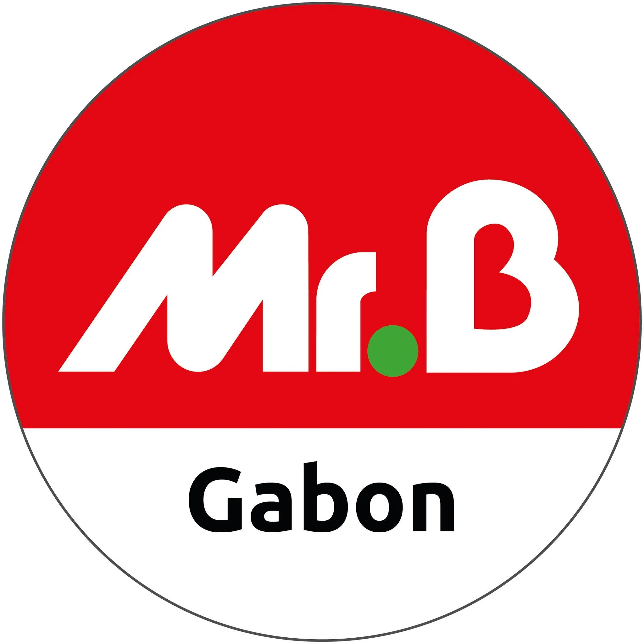 Logo de Mr. Bricolage